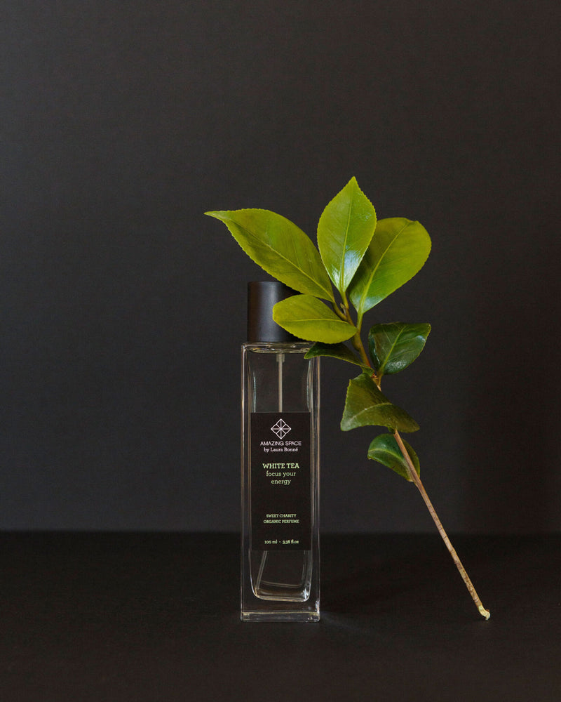 White Tea Perfume – Focus Your Energy